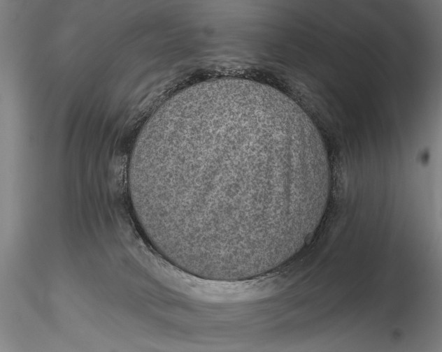 X0000115610034200912011602