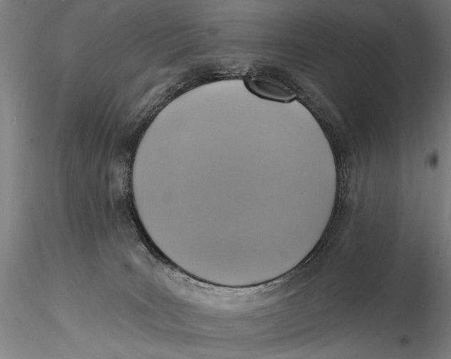 X0000115610035200912011601