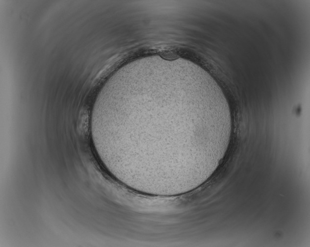 X0000115610036200912011601