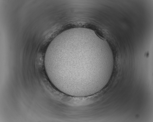 X0000115610037200912011601