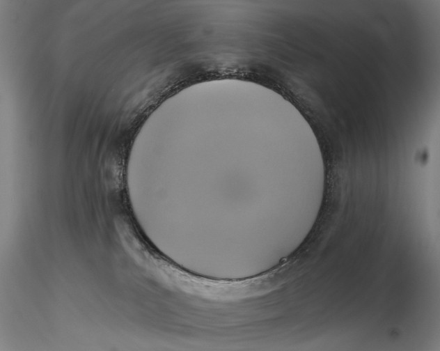 X0000115610039200912011601