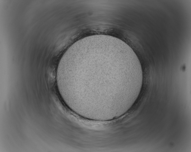 X0000115610040200912011601