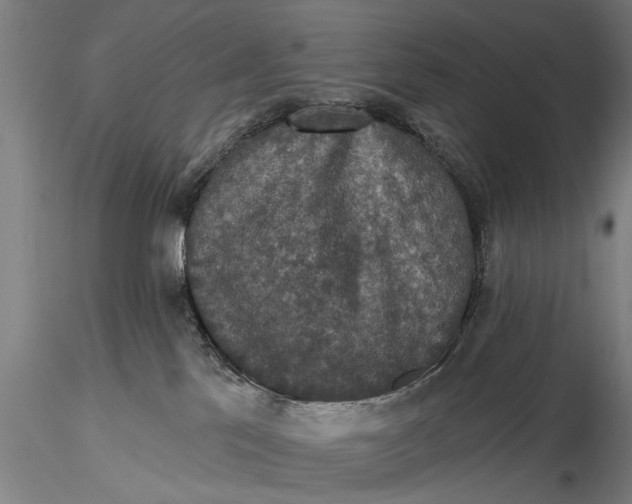 X0000115610041200912011601