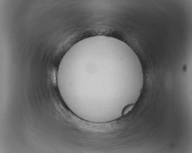 X0000115610042200912011601
