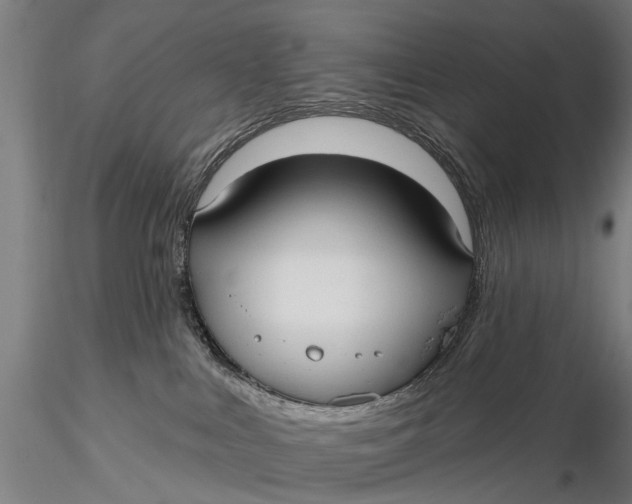 X0000115610043200912011601