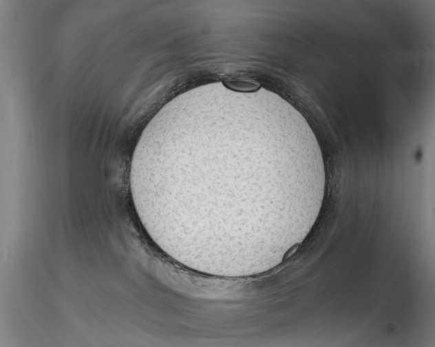 X0000115610044200912011601