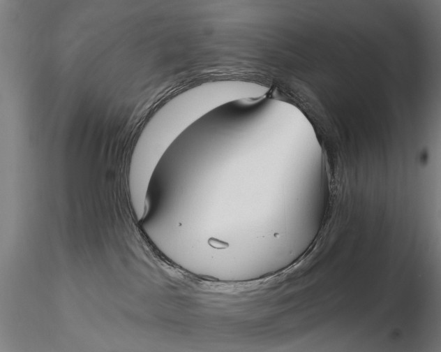 X0000115610045200912011601
