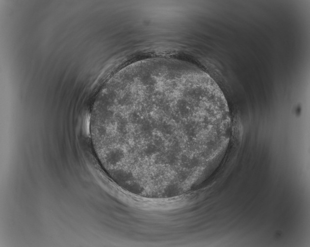X0000115610046200912011601