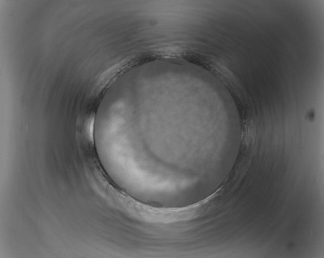X0000115610047200912011601