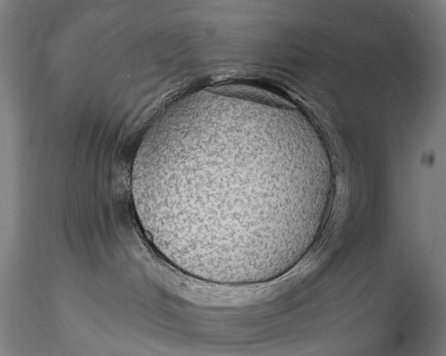 X0000115610048200912011601
