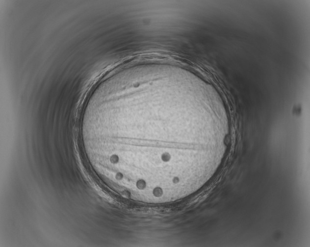 X0000115610049200912011601