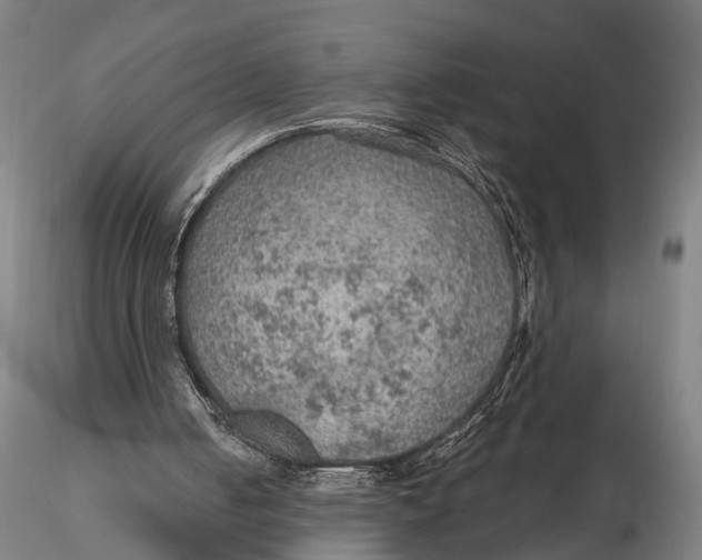 X0000115610050200912011601