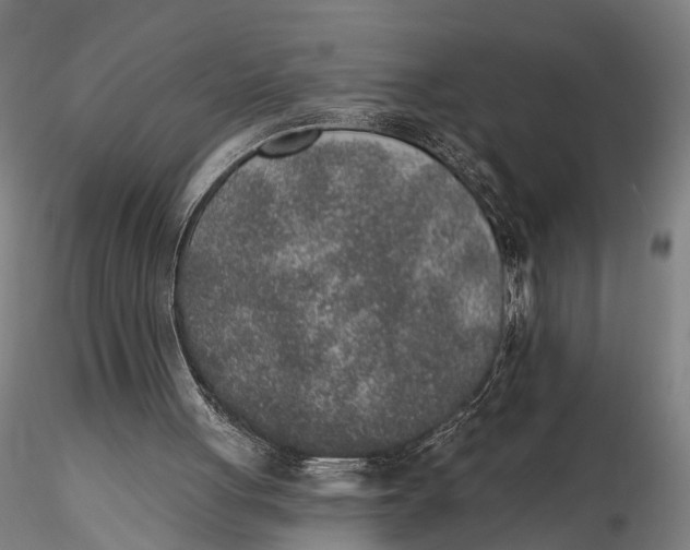 X0000115610051200912011601