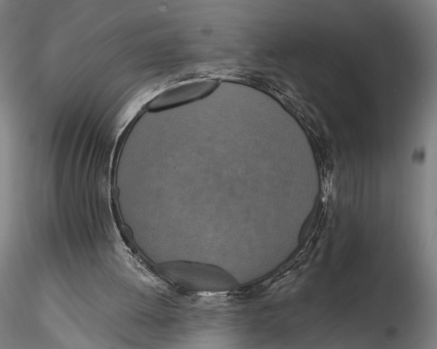 X0000115610052200912011601
