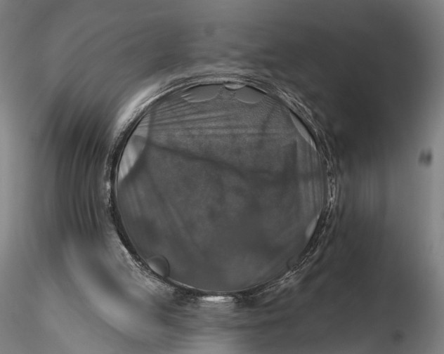 X0000115610053200912011601