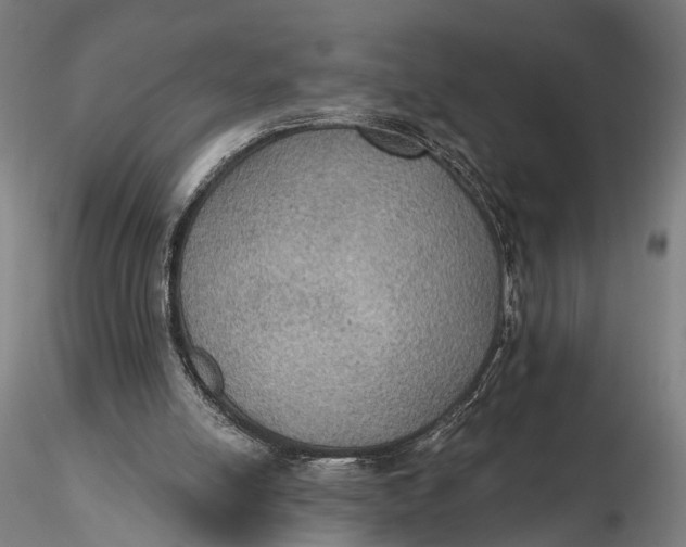 X0000115610054200912011601