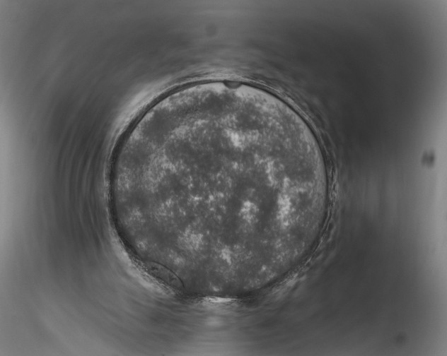 X0000115610055200912011601
