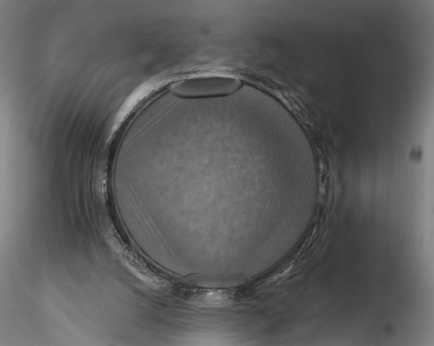 X0000115610056200912011601