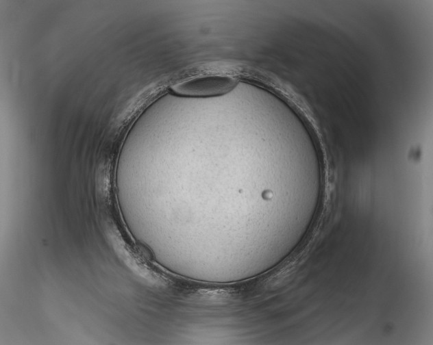 X0000115610057200912011601