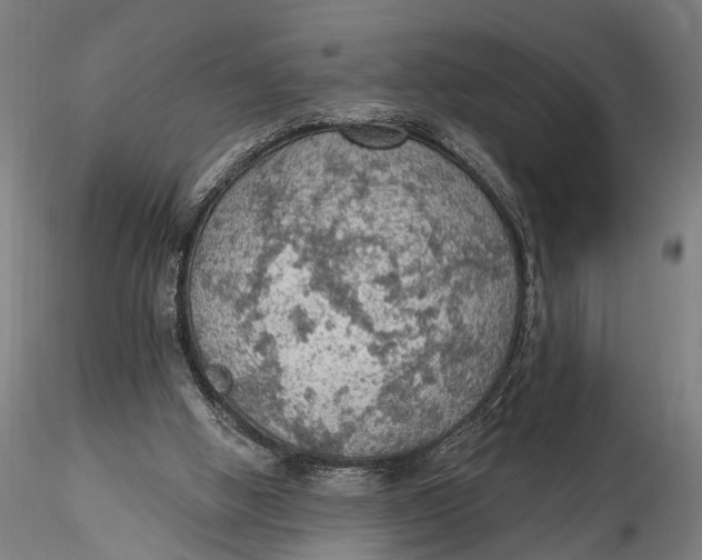 X0000115610058200912011601
