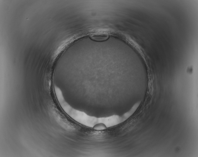 X0000115610059200912011601