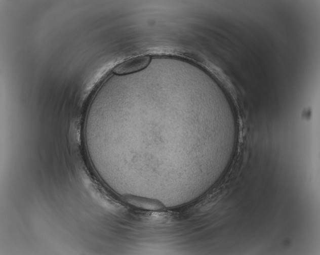 X0000115610060200912011601