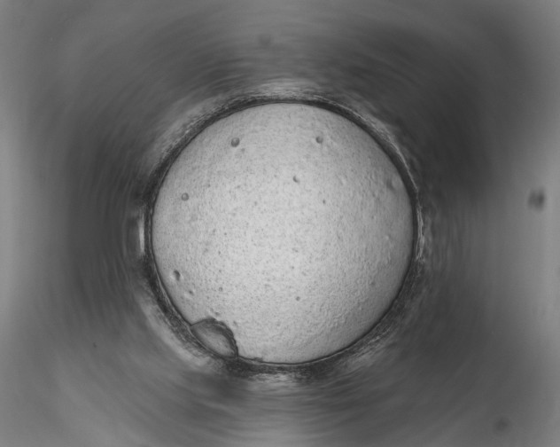 X0000115610061200912011601