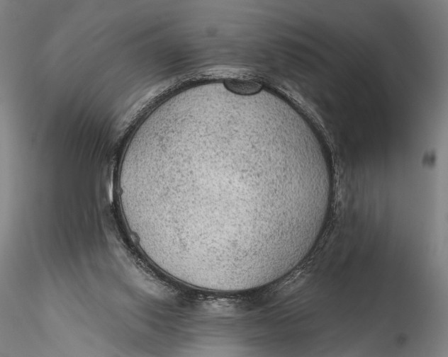 X0000115610062200912011601