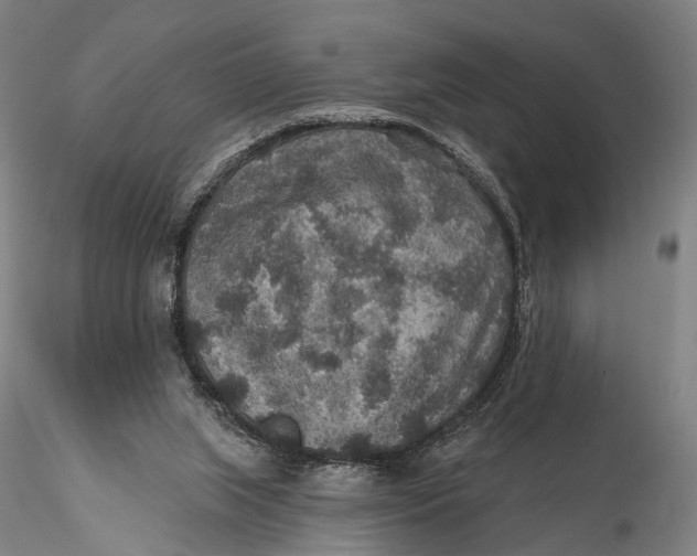 X0000115610063200912011601