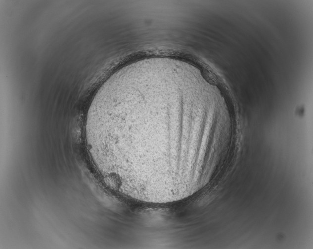 X0000115610065200912011601