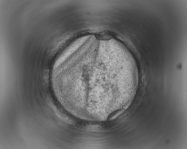 X0000115610066200912011601