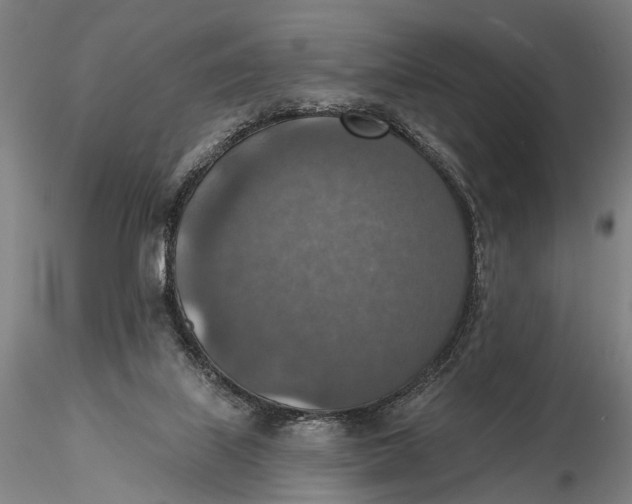 X0000115610067200912011601