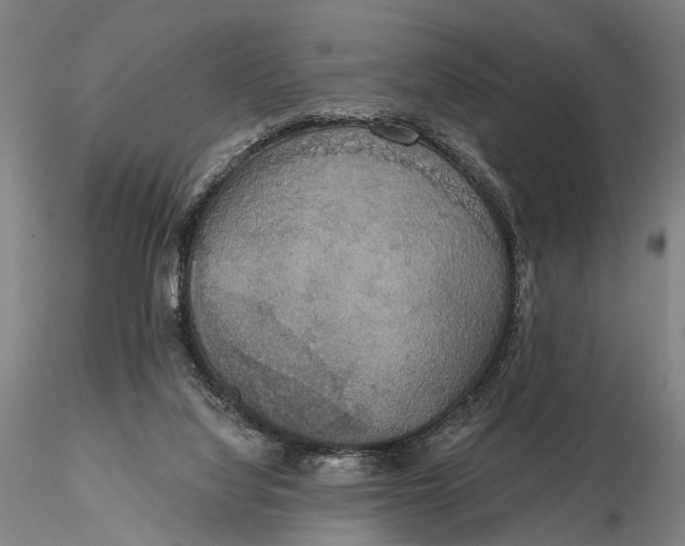 X0000115610068200912011601