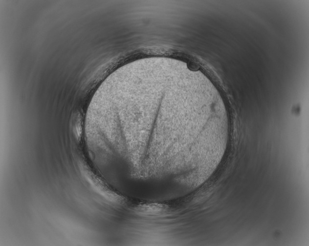 X0000115610069200912011601