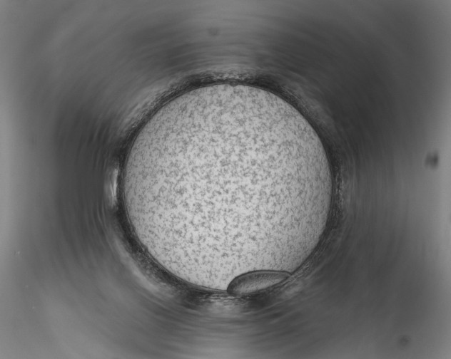 X0000115610070200912011601