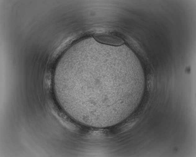X0000115610072200912011601