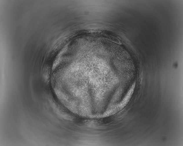 X0000115610074200912011601
