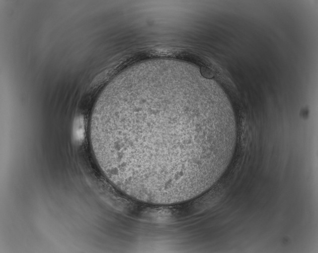 X0000115610075200912011601