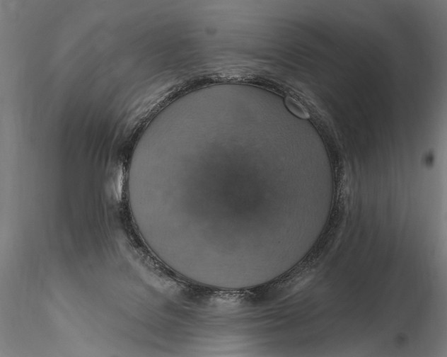 X0000115610076200912011601