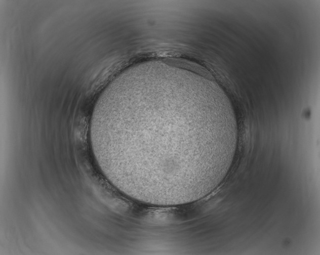 X0000115610078200912011601