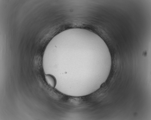 X0000115610079200912011601