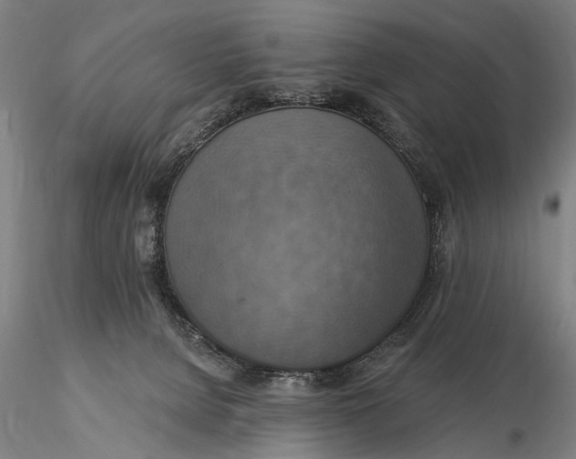 X0000115610080200912011601