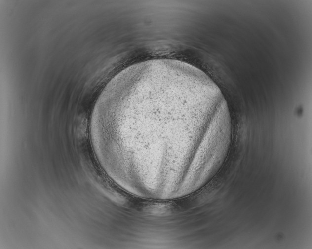 X0000115610081200912011601