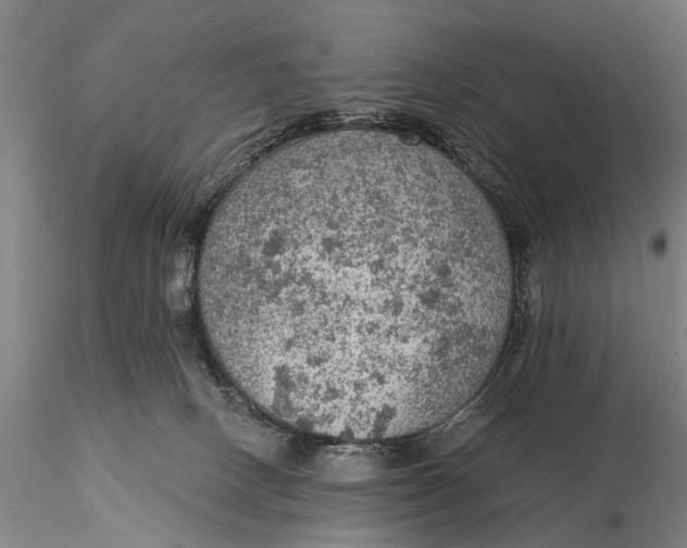 X0000115610082200912011601