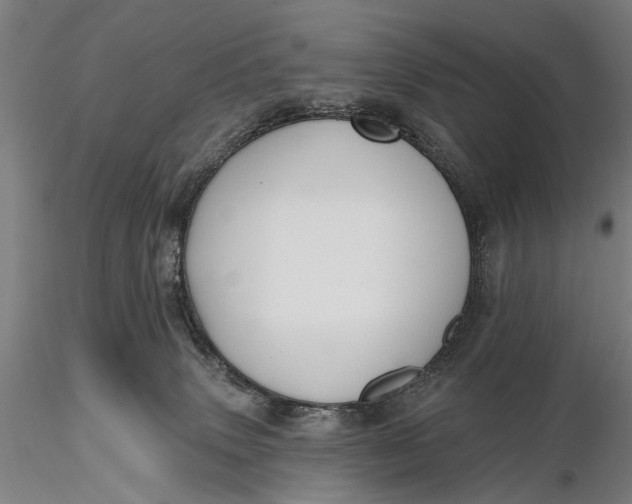 X0000115610083200912011601