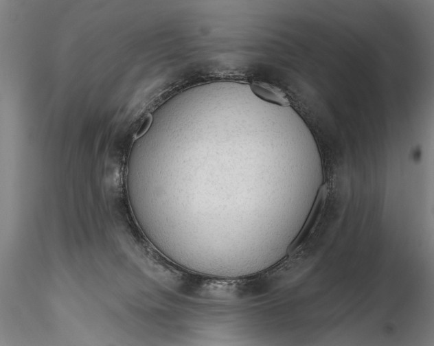 X0000115610084200912011601