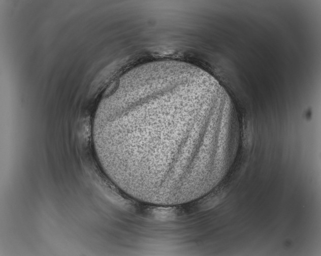X0000115610085200912011601