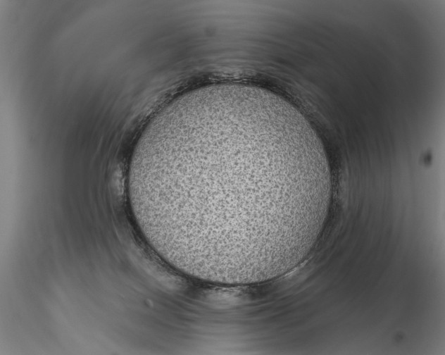 X0000115610086200912011601