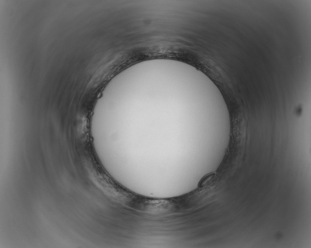 X0000115610087200912011601