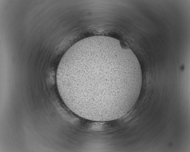 X0000115610090200912011601